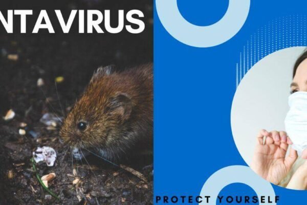 Hantavirus- a mouse drooping disease and Hantavirus symptoms 2025 Tips HANTA VIRUSP